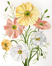 16" x 20" original oil painting on paper. Botanical bouquet of poppy flowers. Poppies wildflowers garden floral painting in an expressive, minimalist, modern, realism style by contemporary fine artist Elizabeth Becker. Light yellow, soft pink, peach, olive green and white pastel colors.